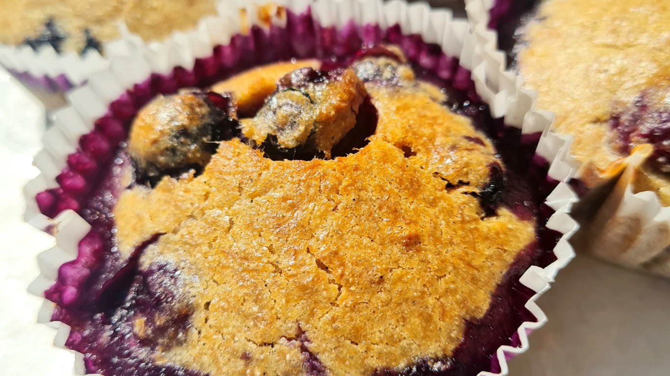 Leckere Blaubeermuffins | ohne Industriezucker